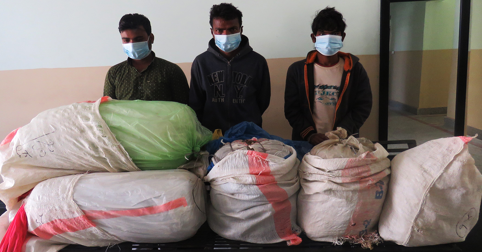 सय केजी गाँजासहित तीन भारतीय पक्राउ