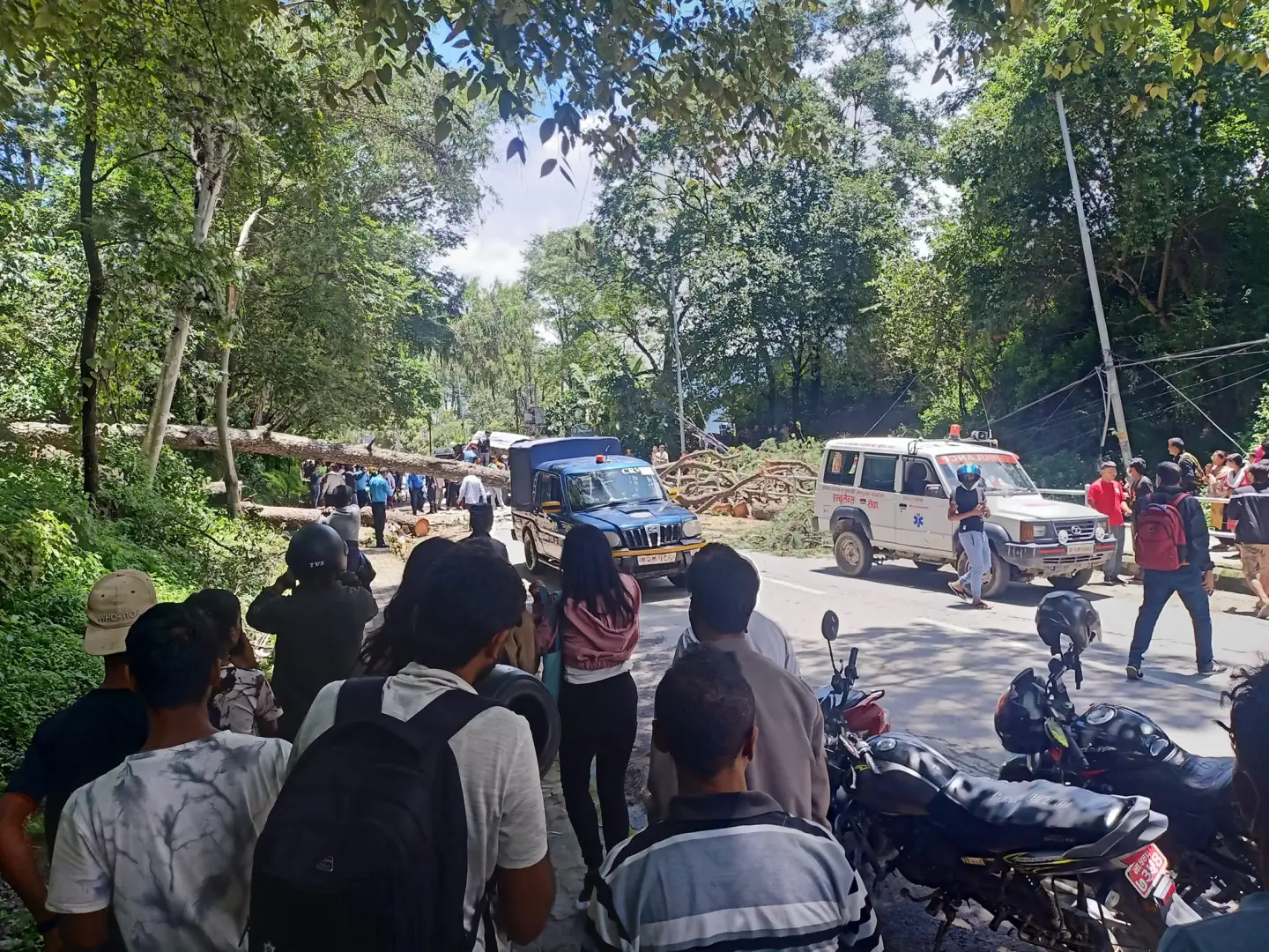 भक्तपुरमा रुख ढलेर बसलाई किच्दा १५ जना घाइते, ३ जनाको अवस्था चिन्ताजनक