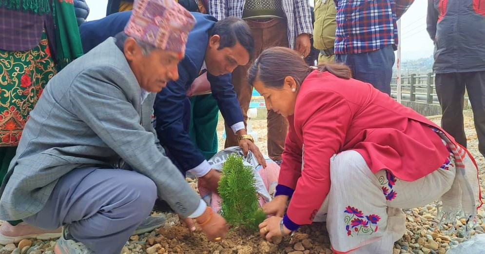 हेटौंडाको क्याम्पडाँडाँमा बृक्षारोपण