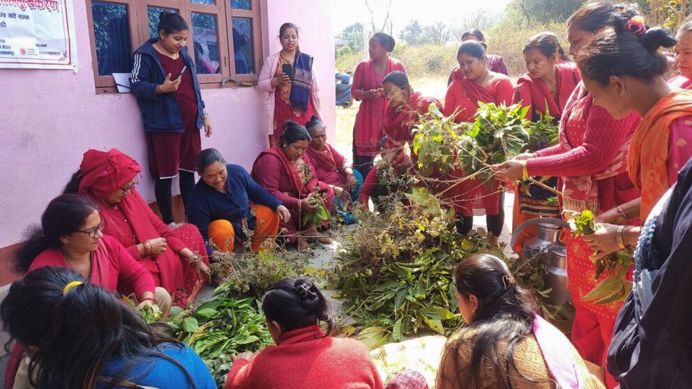 हेटौंडामा प्राङ्गारिक मल तथा वनस्पति विषादी प्रदर्शनी