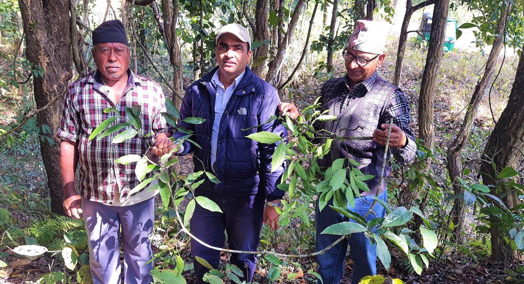 हेटौंडामै फेला पर्यो दुर्लभ वनस्पति भोटेलहरा