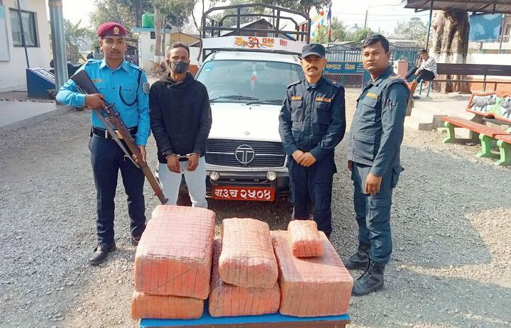 ५३ किलो लागुऔषध गाँजासहित दुईजना पक्राउ