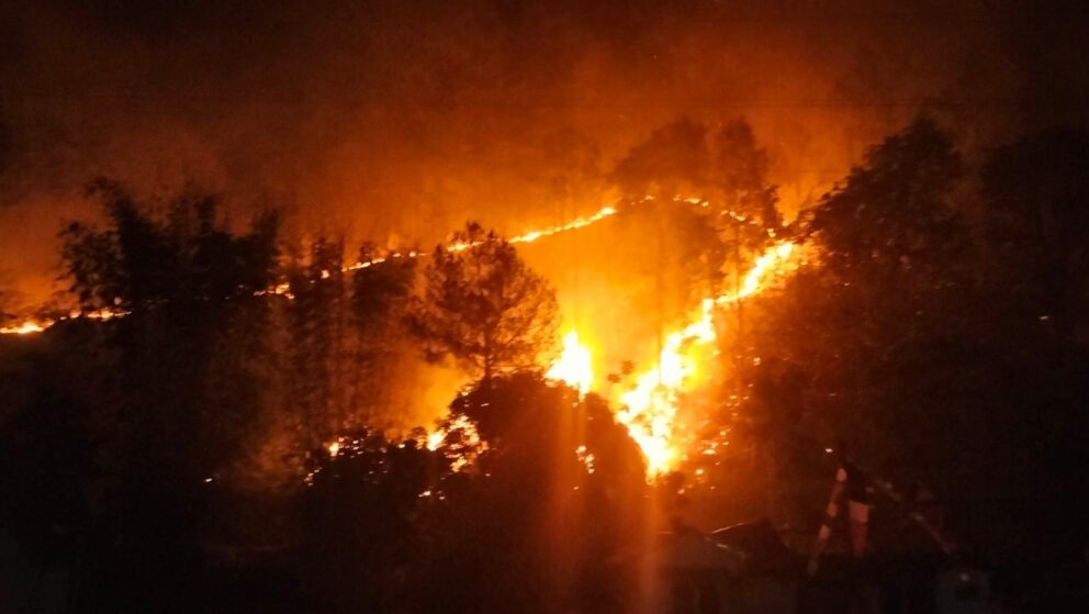 मकवानपुरका धेरै वनमा डढेलो, हेटौंडाका वन वरपरका वस्तीनै जोखिममा