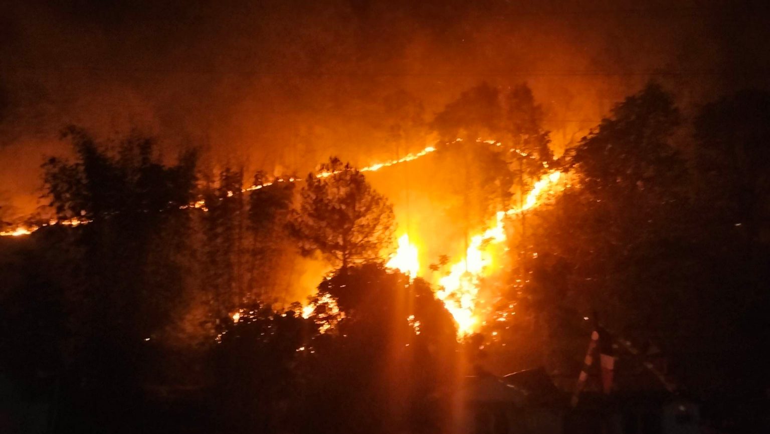 मकवानपुरका धेरै वनमा डढेलो, हेटौंडाका वन वरपरका वस्तीनै जोखिममा