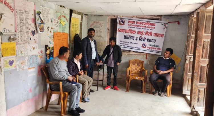 चौकिभन्ज्याङमा तीन दिने व्यावसायिक गाई भैंसी पालन तालिम सुरु,