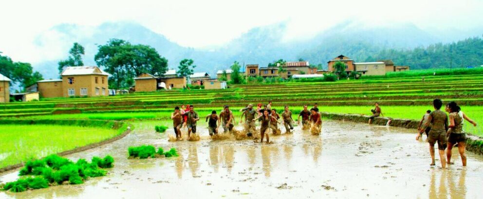 देशभर ६८ प्रतिशत रोपाइँ : आकाशे पानीको भर पर्नुपर्ने बाध्यताले समस्या