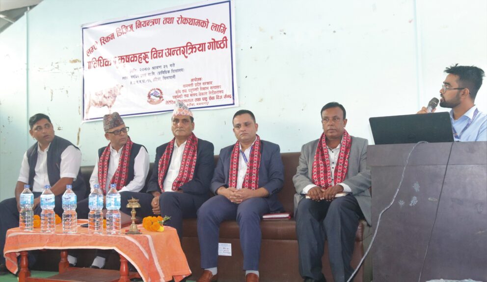 खोप अभियानले लम्पी स्किन रोगको संक्रमणदर घट्न थाल्यो