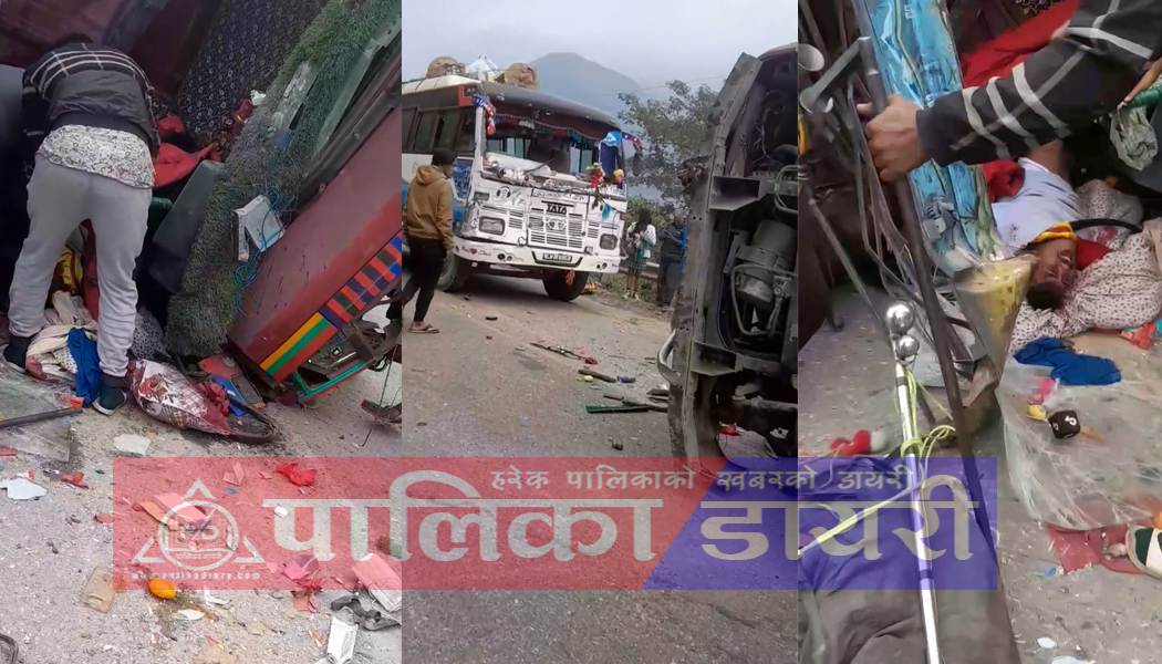 भिमफेदी-८मा पराल बोकेको ट्रक पल्टिदा, कम्तिमा ५ घाइते