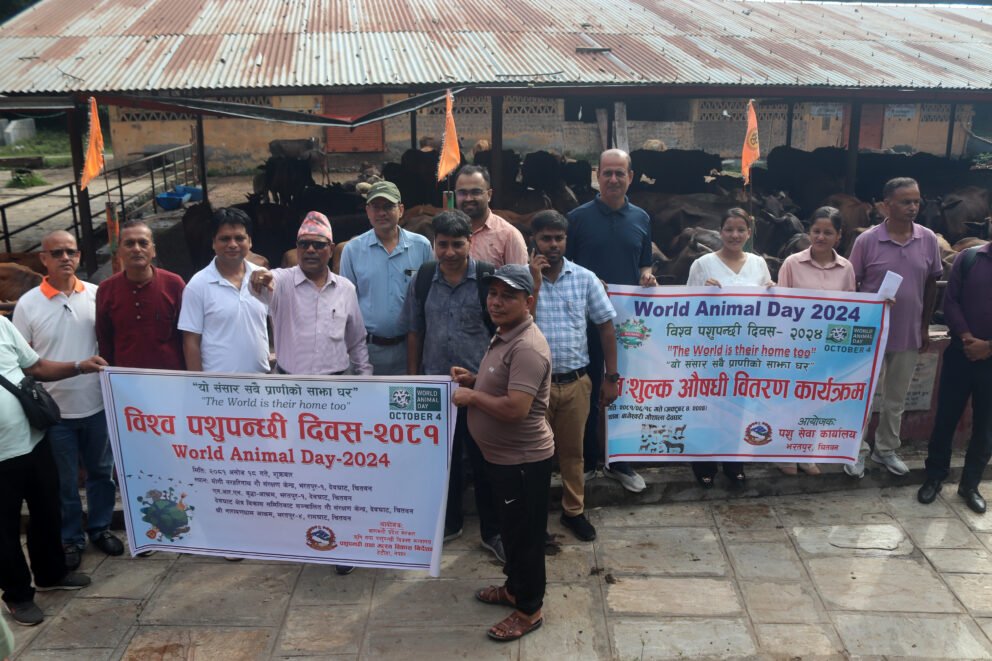 विश्व पशुपन्छी दिवस : आश्रममा संरक्षित गाईलाई दाना र औषधि वितरण