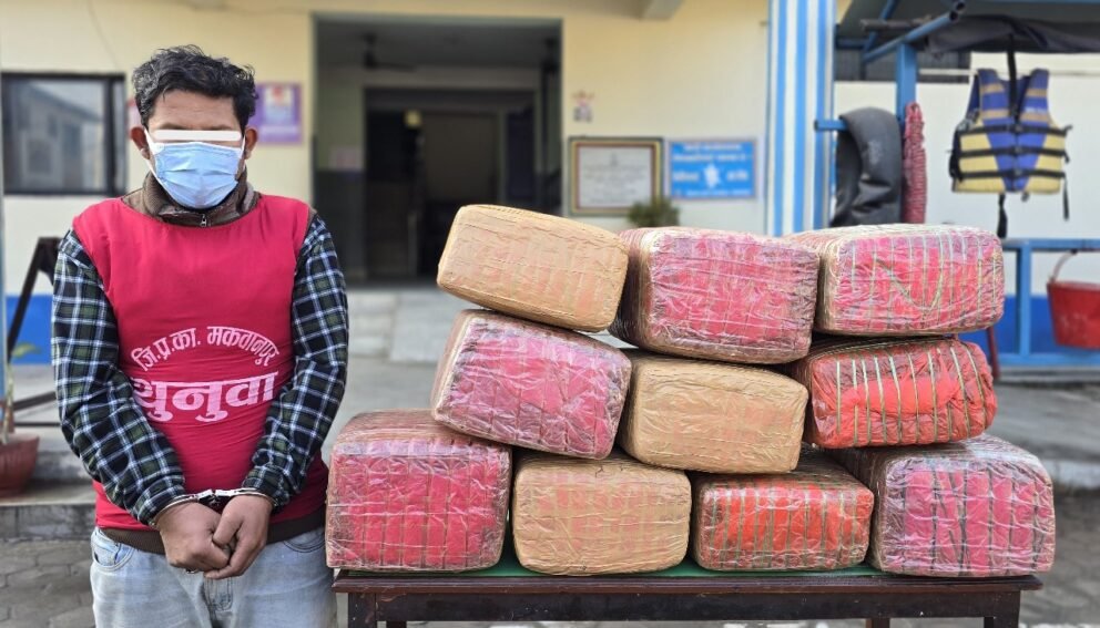 हेटौंडाबाट १ सय ११ किलो गाँजासहित १ जना पक्राउ