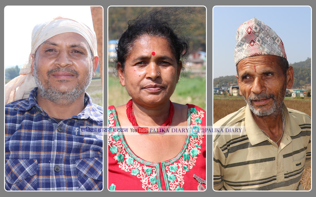 उम्मेदवारका ठुलठुला घोषणा- किसानलाई मल, बिउ र सिँचाइकै समस्या