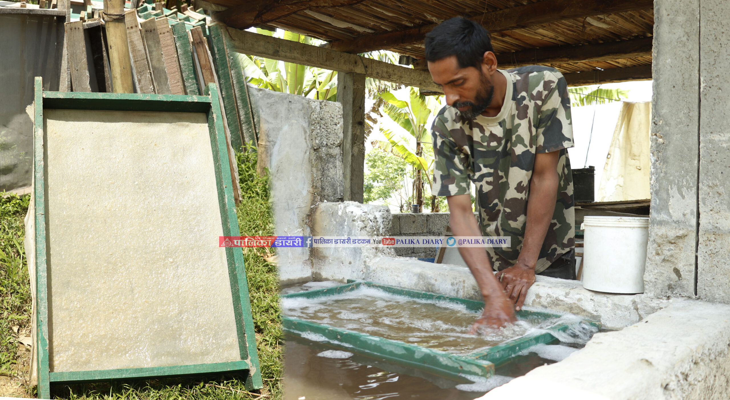 परिवारबाटै नपत्याइएका प्रेम, जसले केराको बोटबाट बनाइरहेका छन् हाते कागज