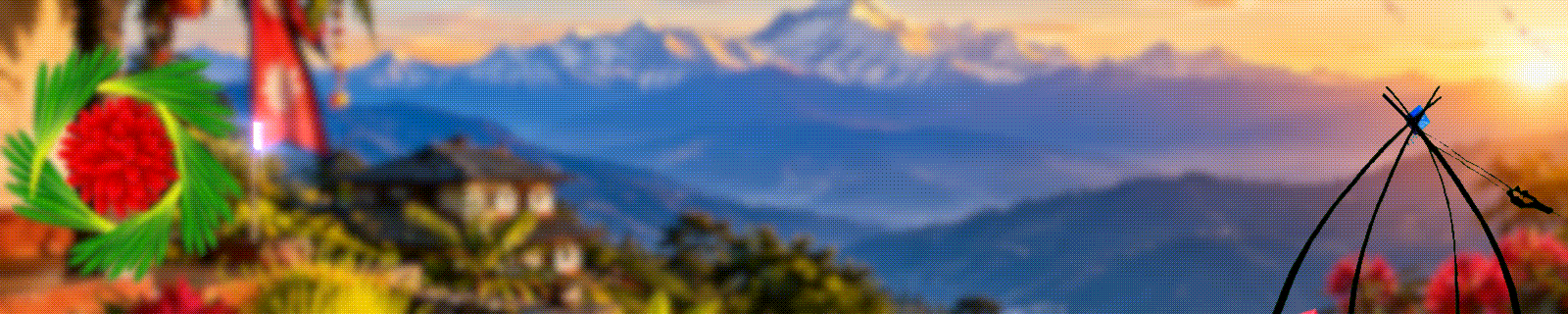 पालिका डायरी